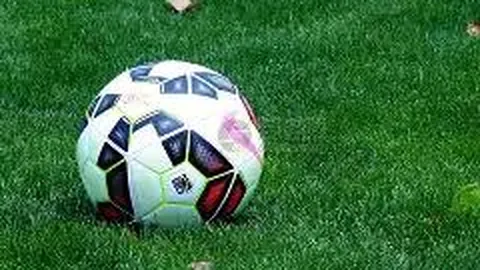 阿方索膝盖软骨受损，或面临长达8个月缺阵风险