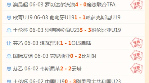 2026法乙转会风云：兰斯门神贾万加盟纽卡，创纪录转会费达2850万欧转会背后的秘密